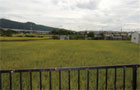自然に包まれた立地！