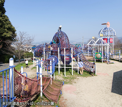 多目的遊具がいっぱいの田辺公園