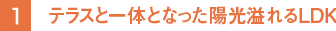 テラスと一体となった陽光溢れるLDK