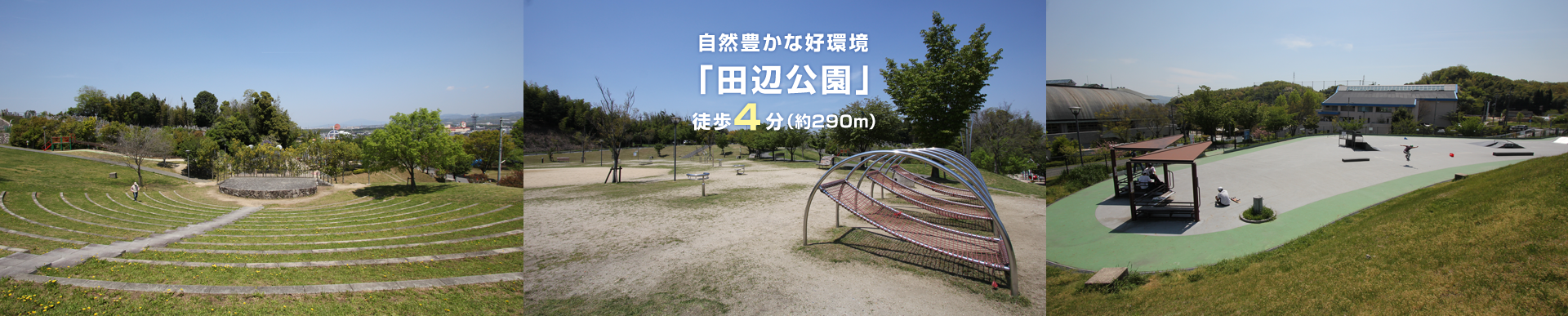 田辺公園/徒歩4分（約250m）